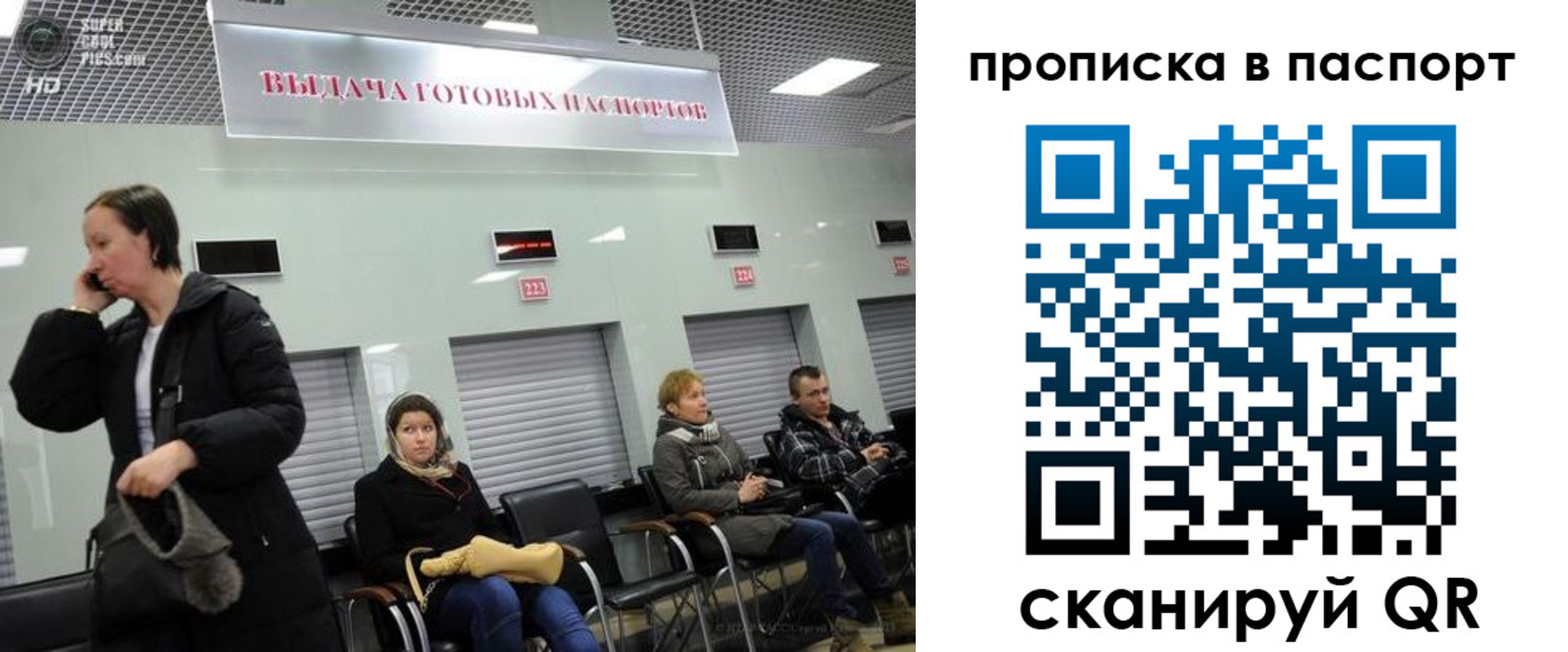 где прописаться в Каргополе